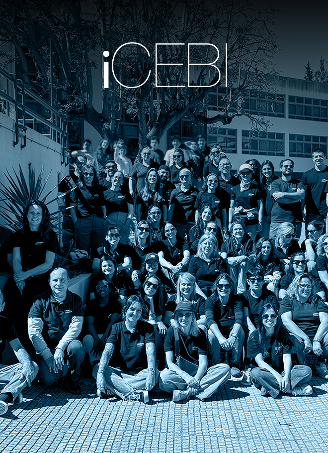 icebi140