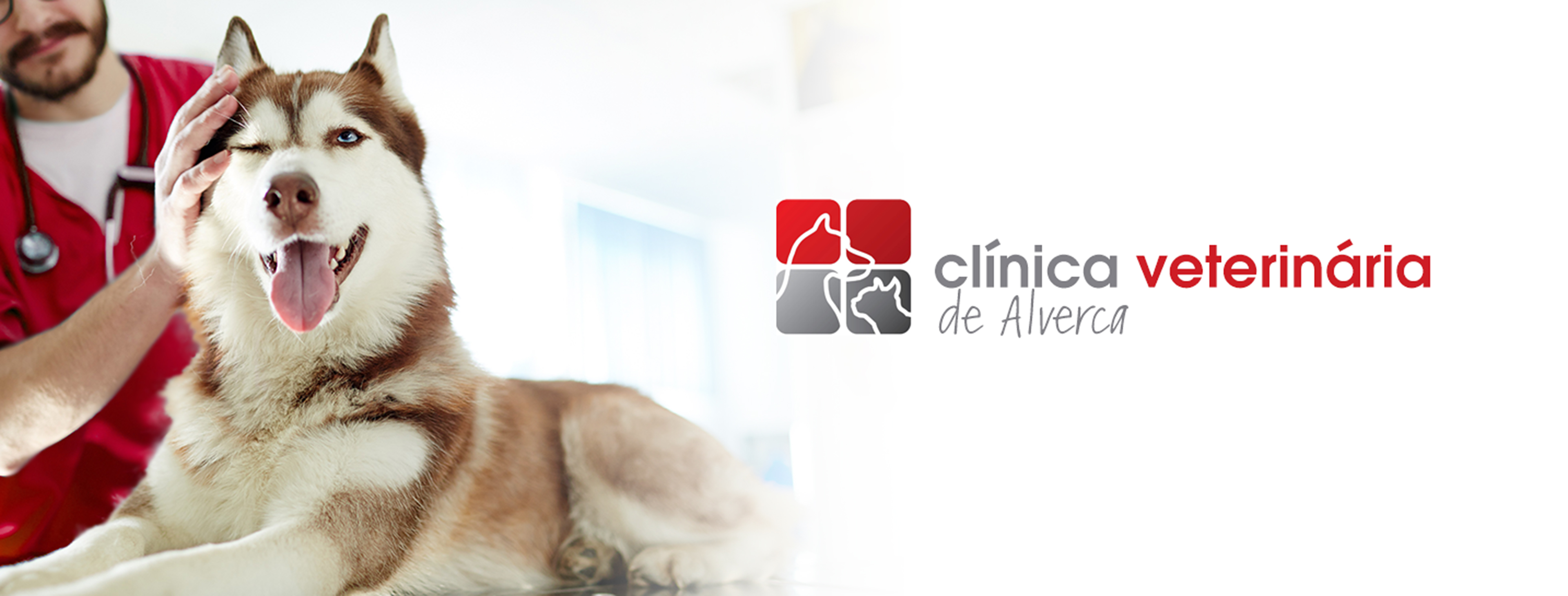 Clínica Veterinária de Alverca