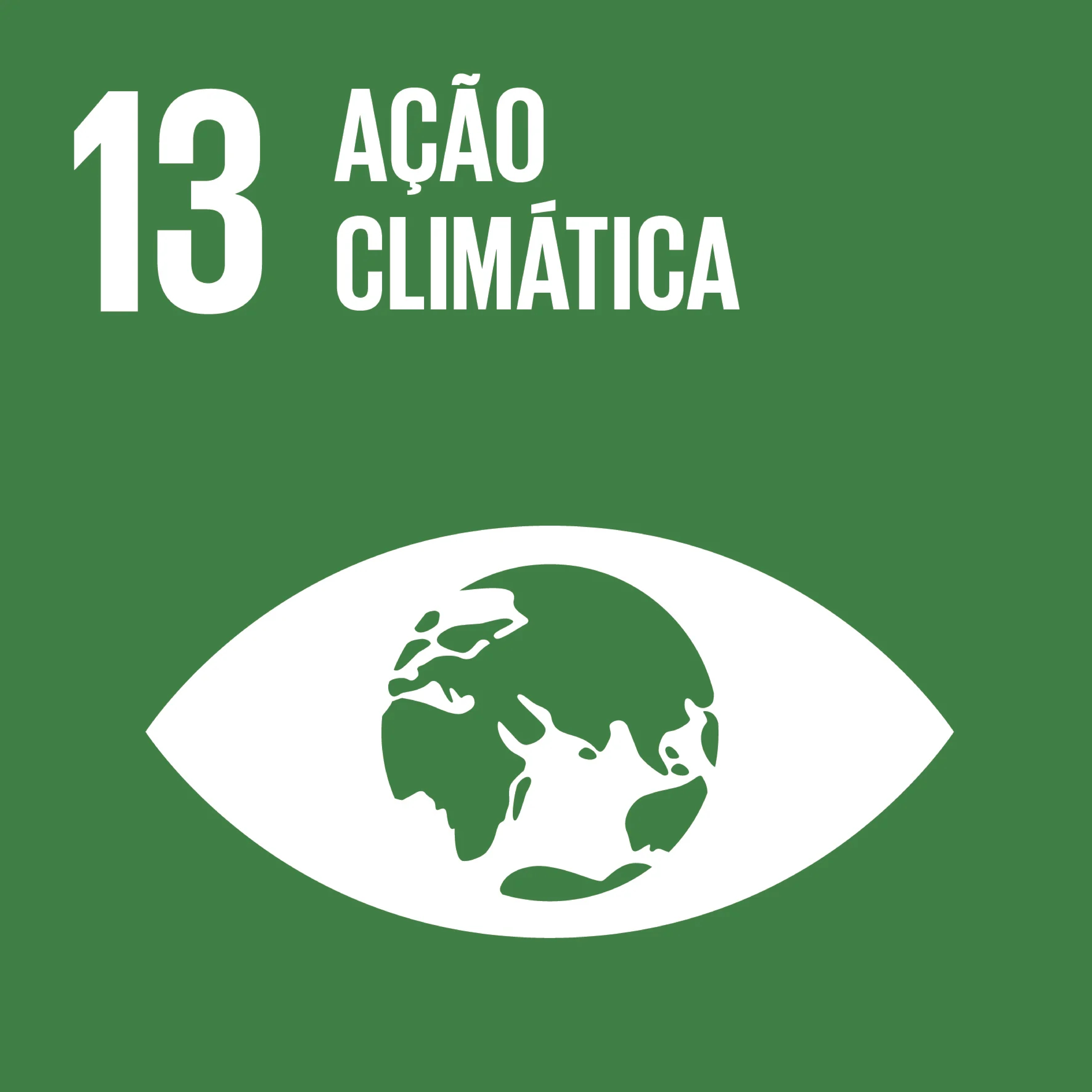 ODS 13 - Ação Climática