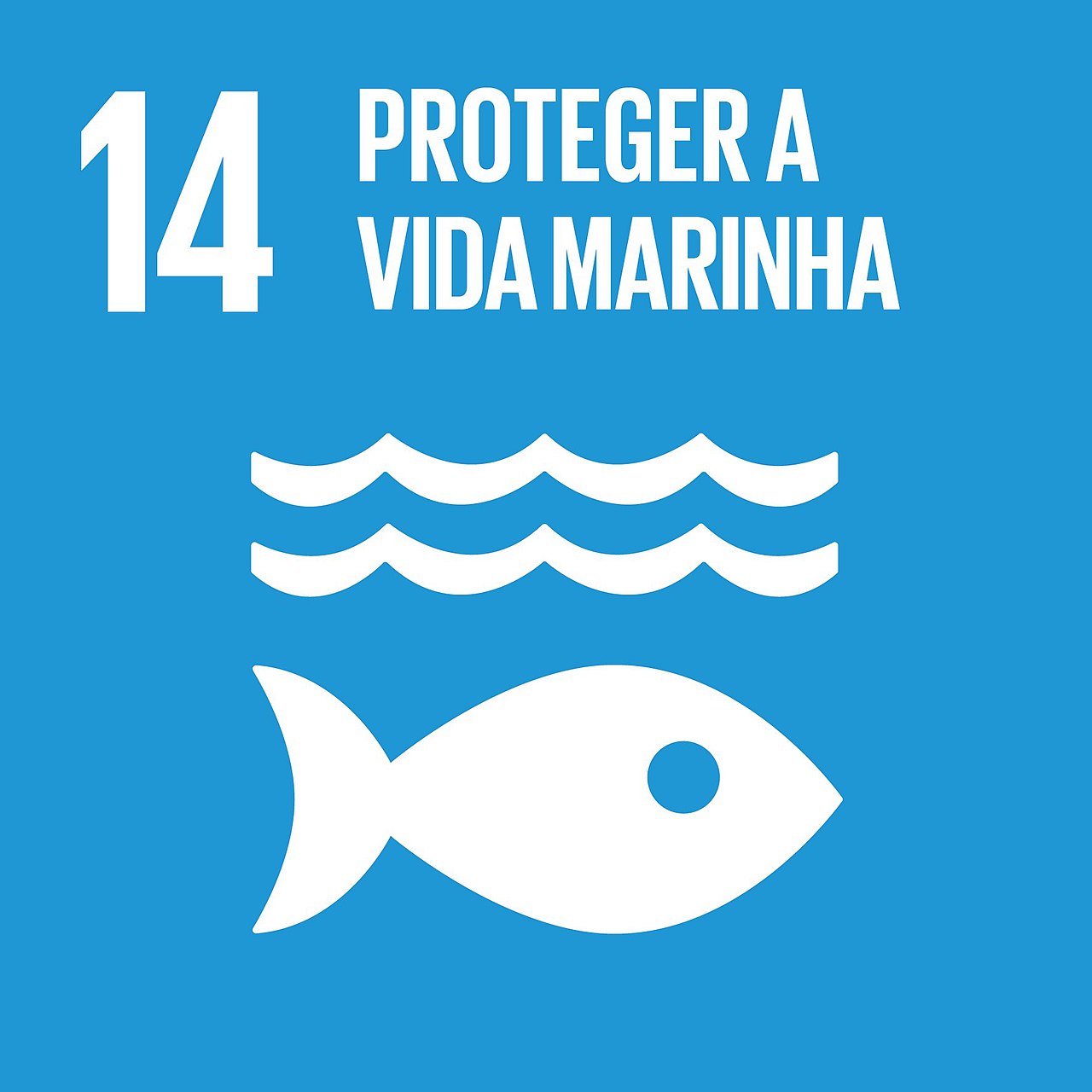 ODS 14 - Proteger a Vida Marinha